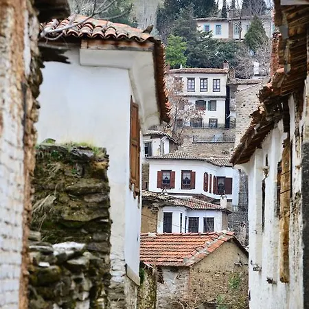 Проживание в семье Sihirbazin Evi